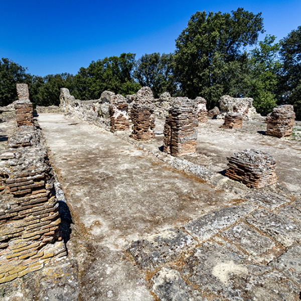 Cuma - la Terrazza superiore